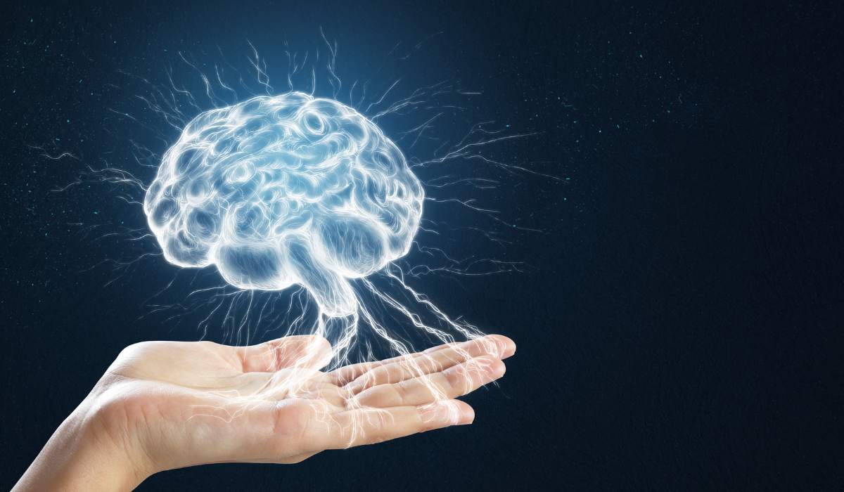 cerebro y mano Cerebro y mano.