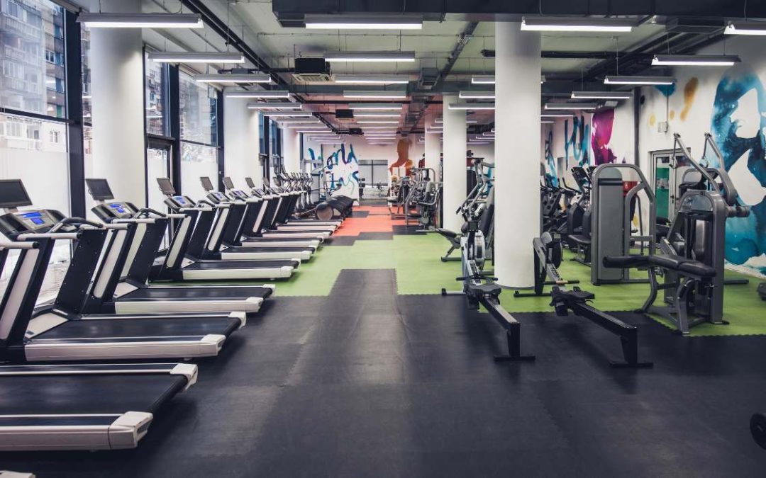 Del Gimnasio Tradicional a la Escalada: Cómo Hacer la Transición
