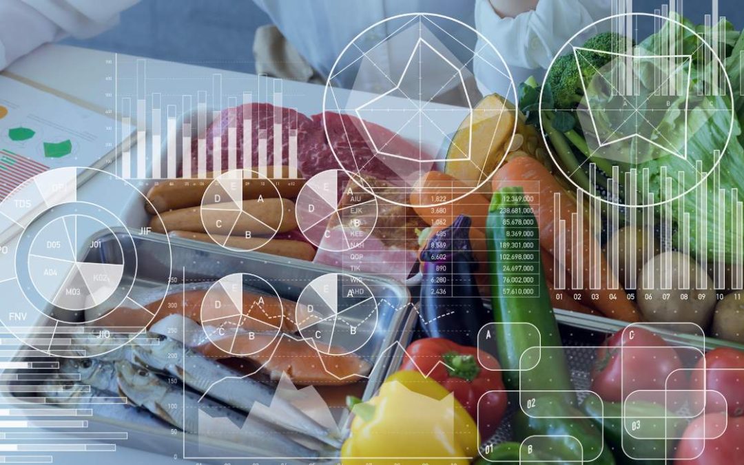 Nutrición para Escaladores: Guía Completa de Alimentación y Rendimiento en la Escalada