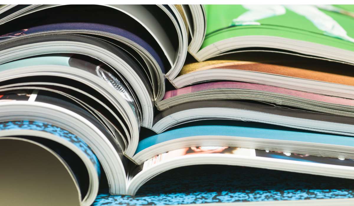 Revistas