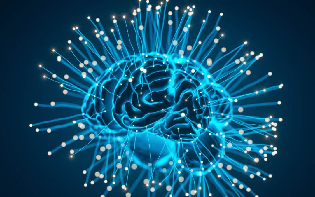 Cerebro en la Pared: Neurociencia Aplicada al Rendimiento en Escalada Indoor