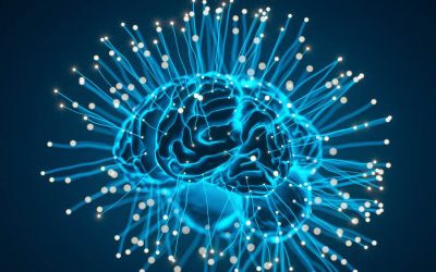 Cerebro en la Pared: Neurociencia Aplicada al Rendimiento en Escalada Indoor