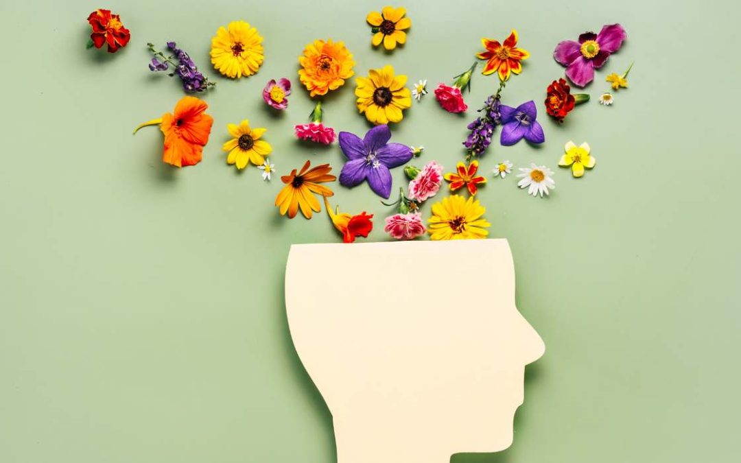 Resistencia mental en el rocódromo: Cómo superar el bloqueo tras varios intentos