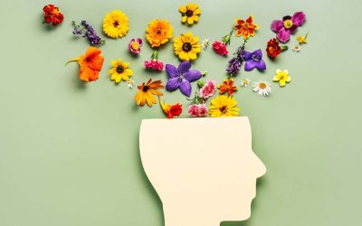 Resistencia mental en el rocódromo: Cómo superar el bloqueo tras varios intentos