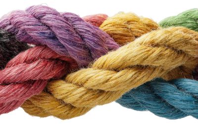 Lo que nadie te cuenta del top rope y por qué es la mejor modalidad para empezar